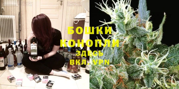apvp Алексин