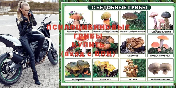 mdpv Няндома